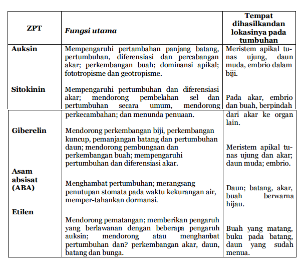 Inilah Penjelasan Lima Tipe Utama ZPT (Zat Pengatur Tumbuh ...
