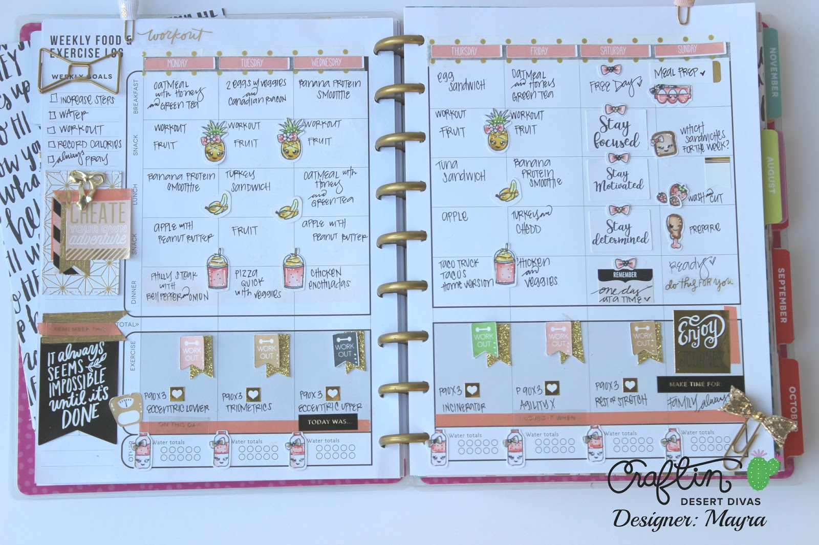 Mayras Designs Happy Planner Fitness Insert Food Journal