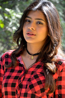 hebah patel at nnnbf success meet hebah patel at nnnbf success meet