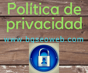 pirvacidad de BGSWEB, RGPD Privacidad, uso de cookies de blog seo web, blog de marketing. Reglamento general de protección de datos de la UNIÓN EUROPEA