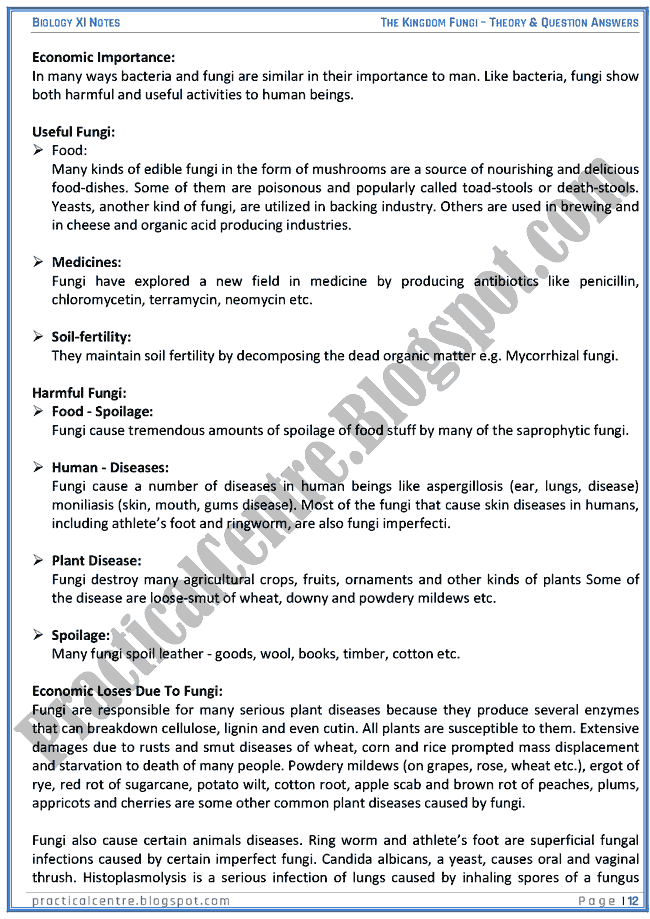 Kingdom Fungi - Theory And Questions Answers - Biology XI