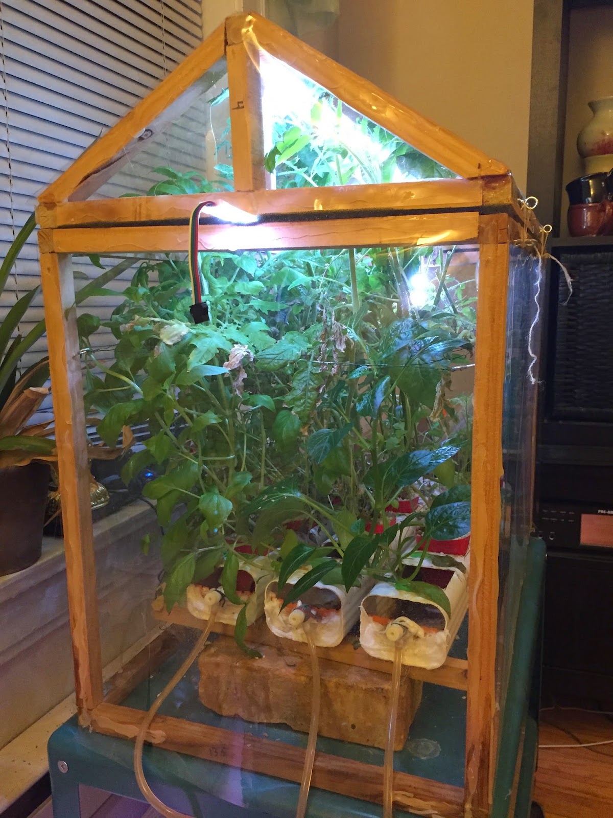 Raspberry Pi Powered Hydroponics Plants plants everywhere. Biweekly