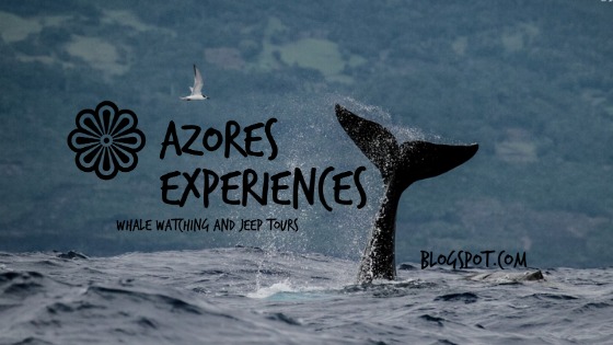 Azores Experiences - Whale Watching &amp; Jeep Tours