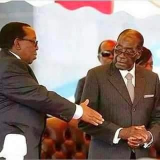 mugabe shake hand zulu king