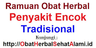 Ramuan obat herbal penyakit encok tradisional Ramuan obat herbal penyakit encok tradisional