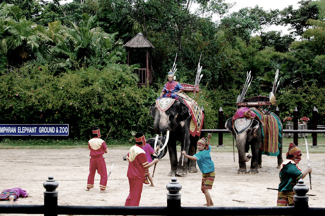 bowdywanders.com Singapore Travel Blog Philippines Photo :: Thailand :: Bangkok Elephant Show