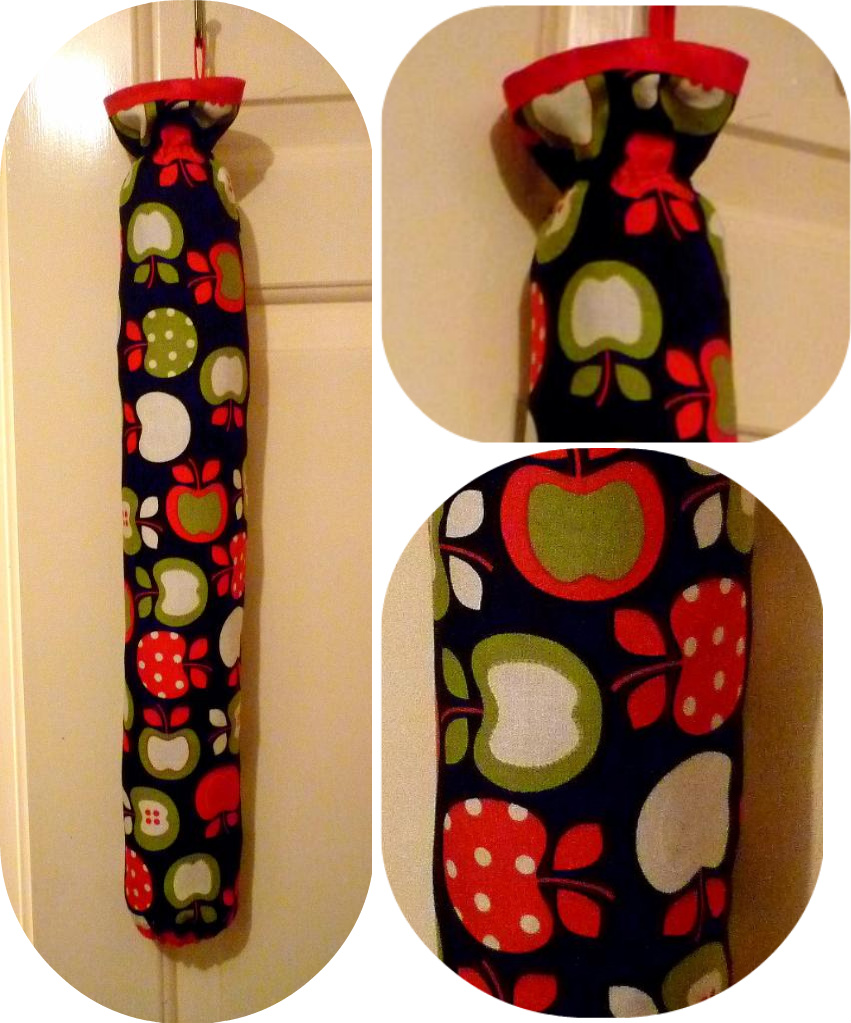 Lucky Dragonfly Craft Carrier Bag Holder