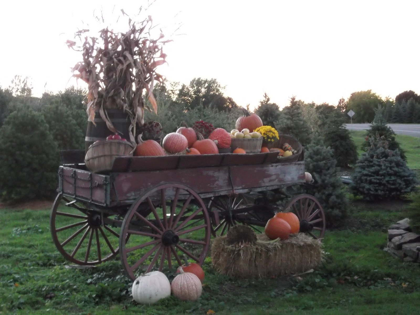 Thanksgiving bulletins worship