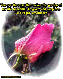 You are the rose that makes the garden of my life beautiful, fragrant and complete. Good Night sweetheart.