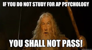 Image result for ap psychology stress meme