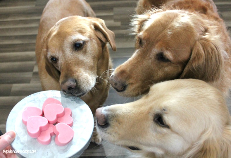 Homemade Valentine Dog Treats