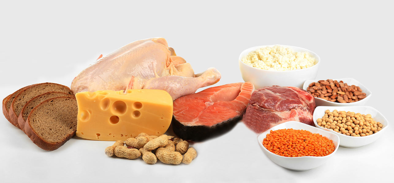 10 Best Leucine Rich Foods Family Health Articles