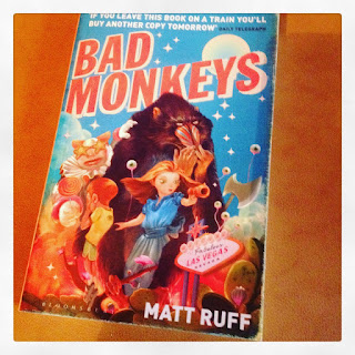 Bad Monkeys by Matt Ruff