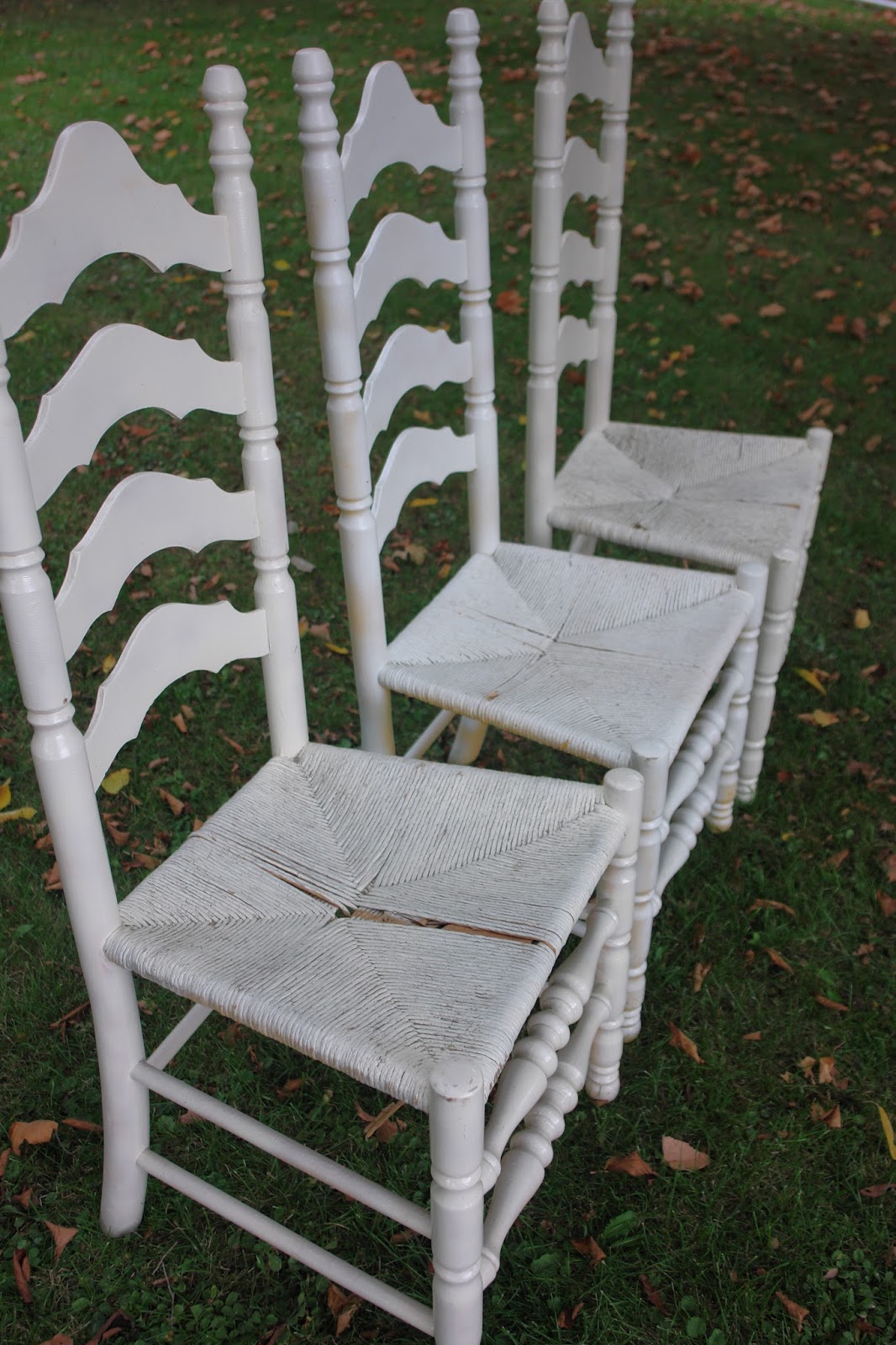 REDWOODSHIRE learning to grow; growing to learn "One persons junk, is