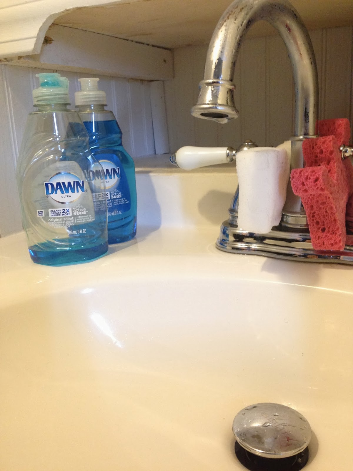 Tiny, Tiny House: Tiny House Cleaning - Day 53