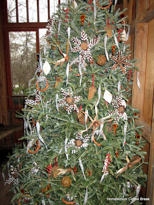 Christmas tree in the birdhouse treehouse - A Longwood Gardens PhotoJournal, Part One on Homeschool Coffee Break @ kympossibleblog.blogspot.com