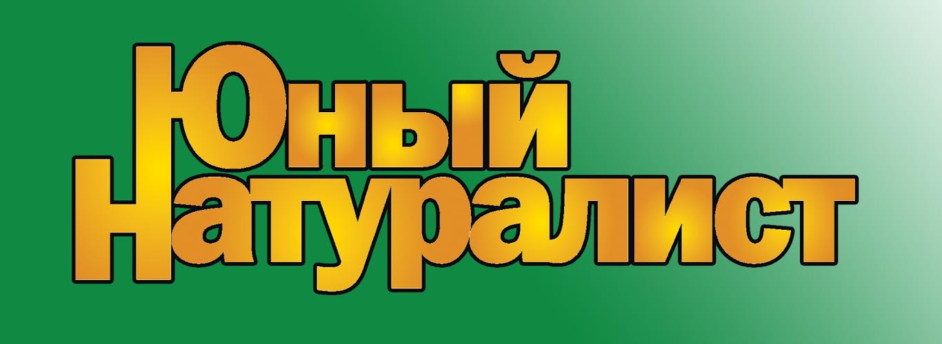 Читаем журнал