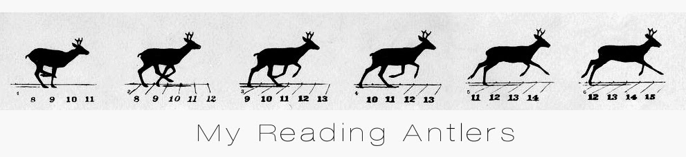 My Reading Antlers