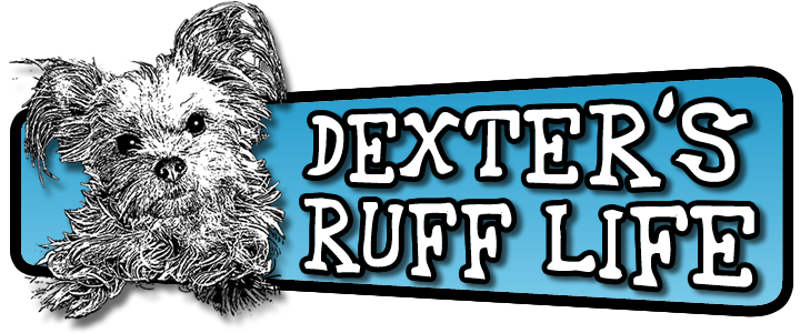 Dexter's Ruff Life