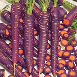vivix ada purple carrot