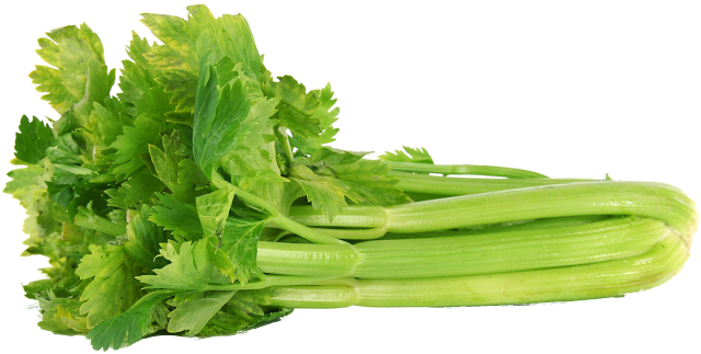 NUTRIENDOJL Las Bondades de la Apigenina