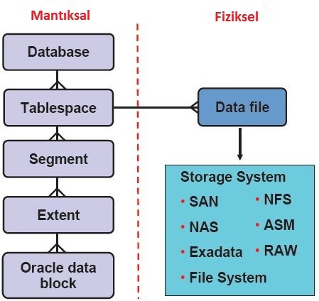 Oracle сегмент экстент блок. Problems database. The oracle. Пример awr report. Структура базы данных crm.
