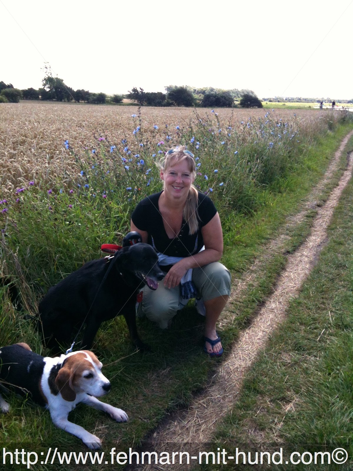 Fehmarn mit Hund Hundestrände auf Fehmarn