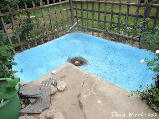 pond painted blue, clear water for fish pond, plants