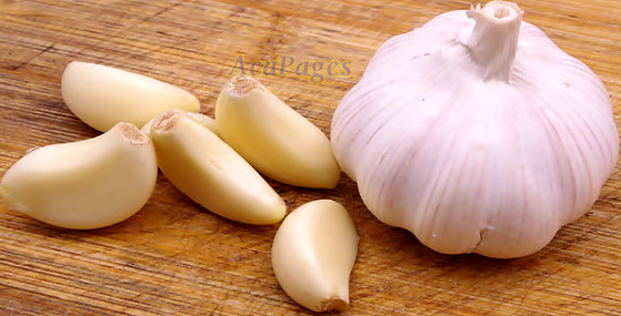 Bawang Putih Obat Keputihan Bawang Putih Obat Keputihan