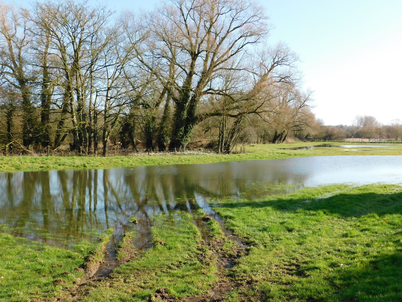 Corfu Blues and Global Views Chilfrome and Frampton, Dorset; Floods