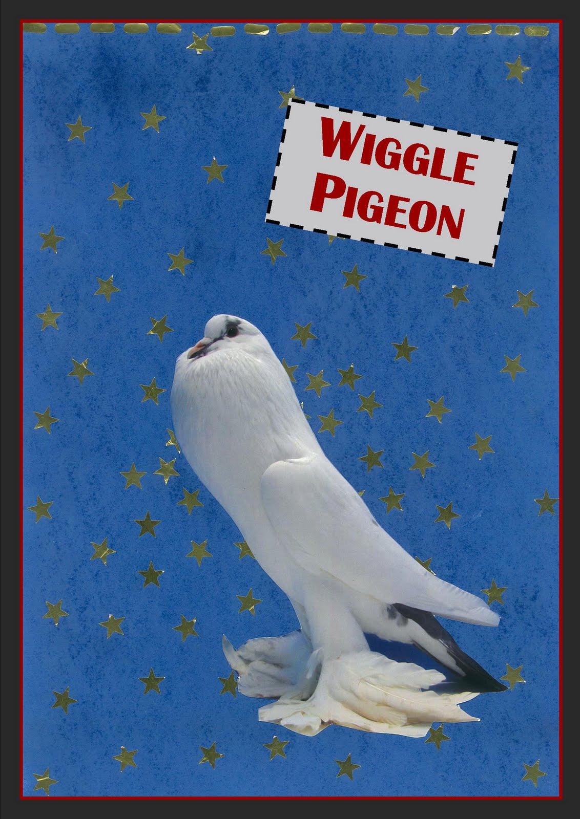 Wiggle Pigeon