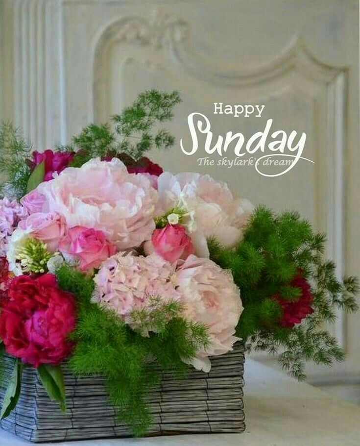 happy sunday images for whatsapp