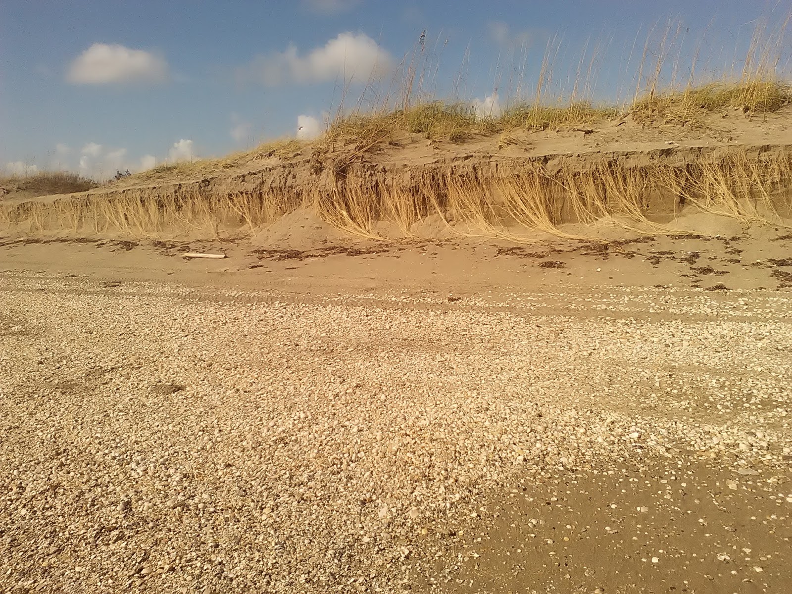 The Treasure Beaches Report Direct From Florida's Treasure Coast. 9/14