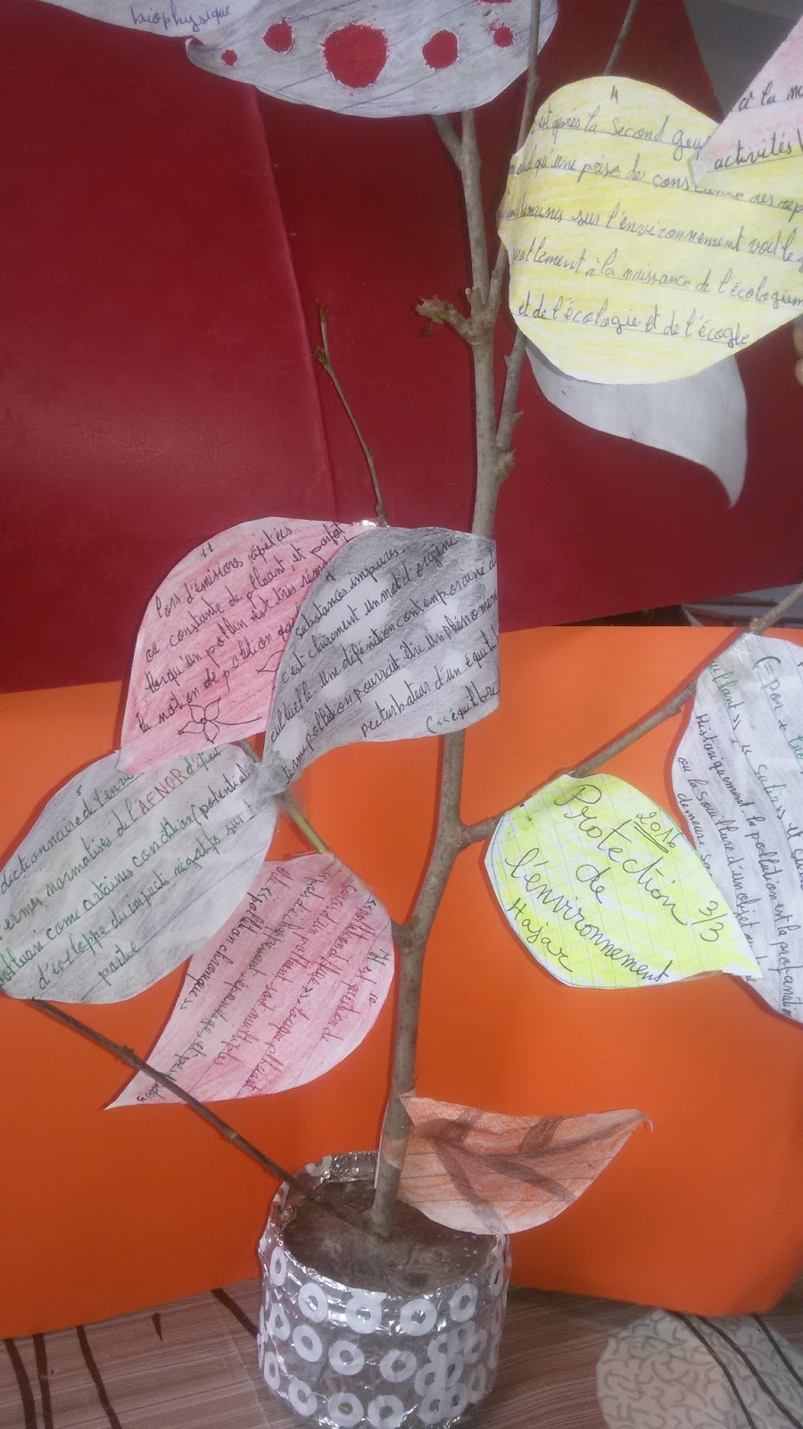 Le Francais Au College Environnement