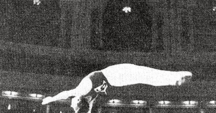 Trampoline History Blog A Brief History of World Trampoline