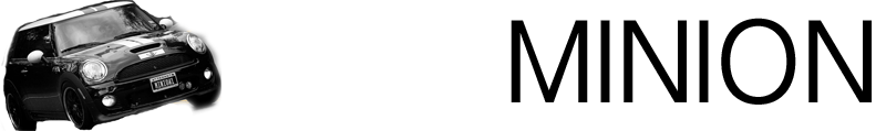 MiniOn