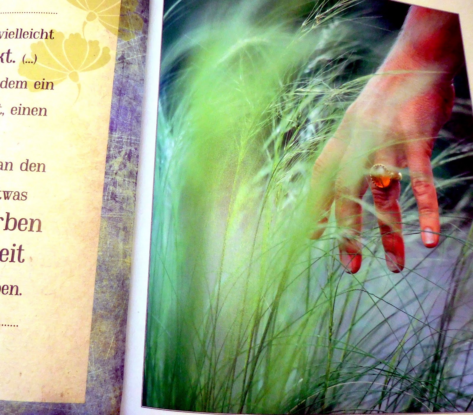 NaturNah Buchrezension Achtsam gärtnern