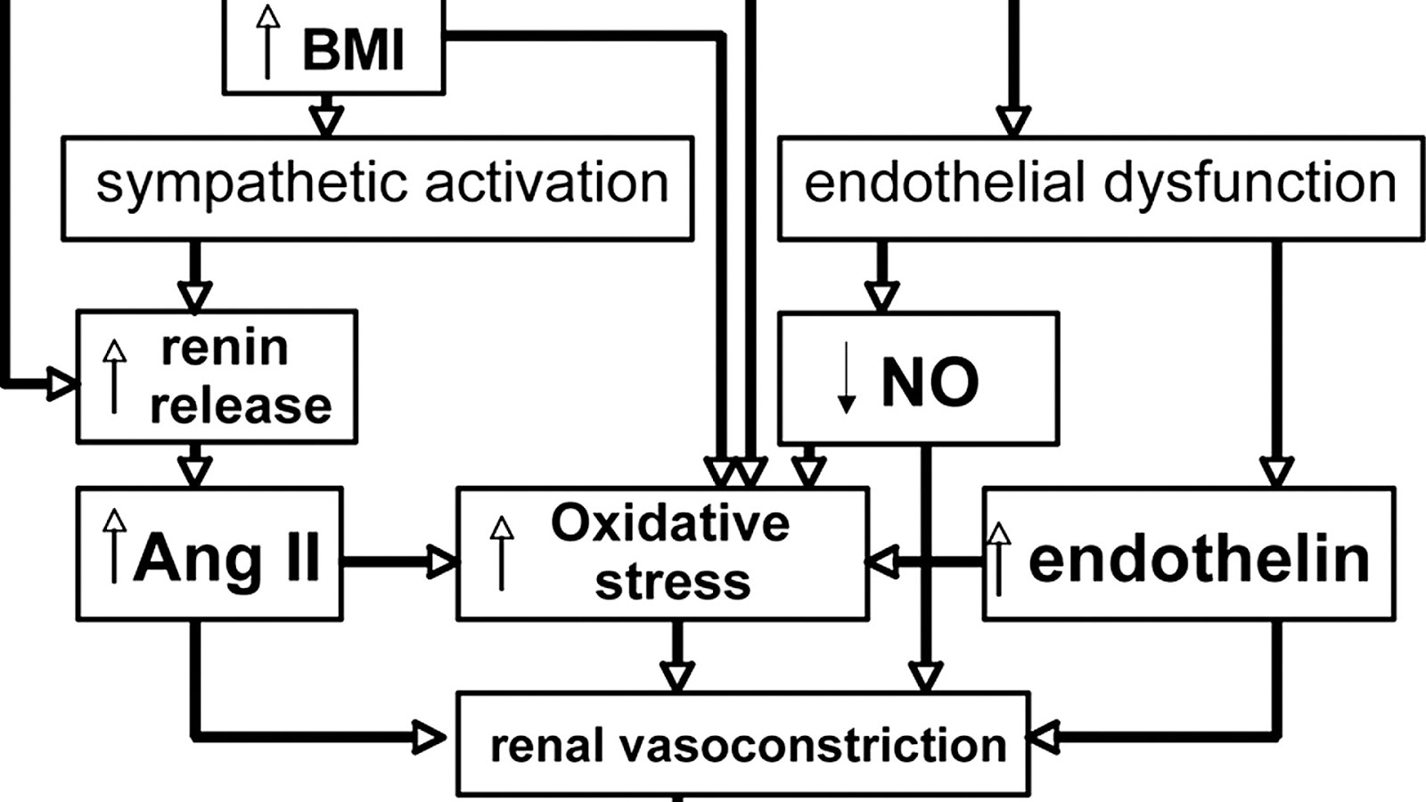 The Effects Of Menopause Effect Choices