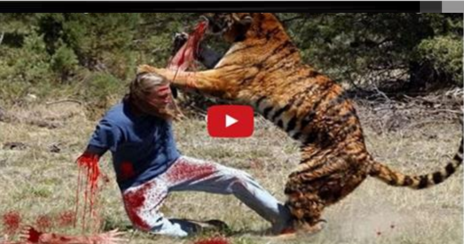 Most Shocking Animal Attacks on Human/People Real Video on Camera