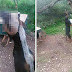 Ηγουμενίτσα: ΣΟΚ Βρήκε τον σκύλο του κρεμασμένο σε δέντρο (+ΦΩΤΟ)
