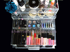 Clear ICEbOX Makeup Organizer