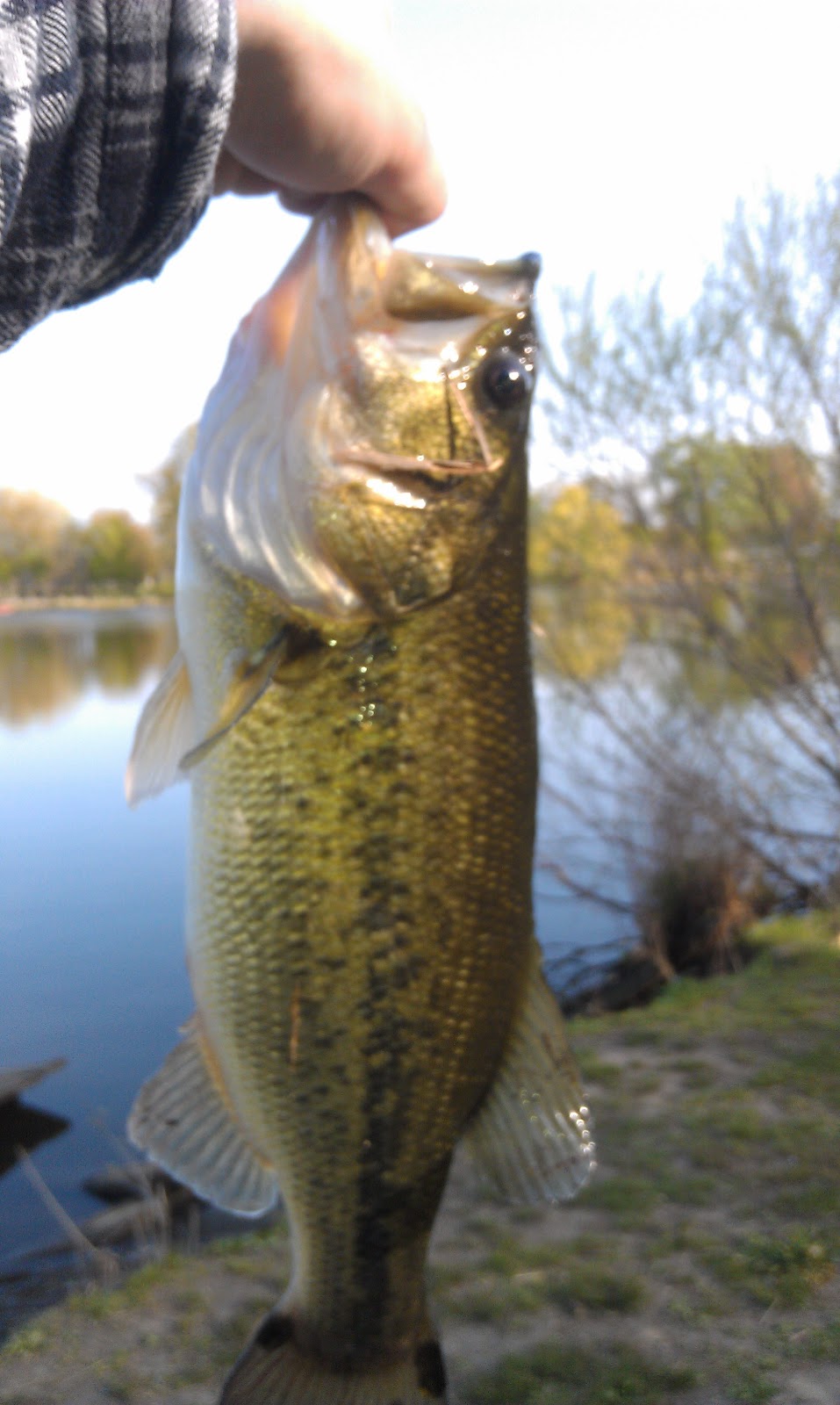 Extreme Philly Fishing Recent Catches Snakehead, Striper, Bass