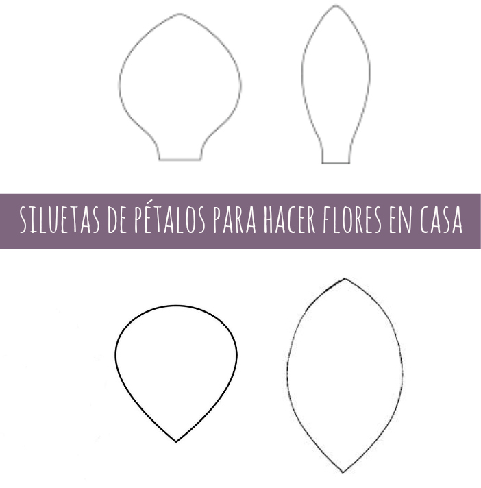 Imagen 0