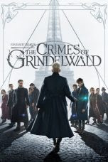 Fantastic Beasts: The Crimes of Grindelwald (2018) 
