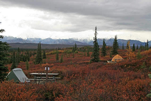 DENALI NATIONAL PARK(II) - LA ULTIMA FRONTERA. CRONICAS DE ALASKA (4)