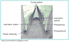 aneka artikel biologi dan pertanian