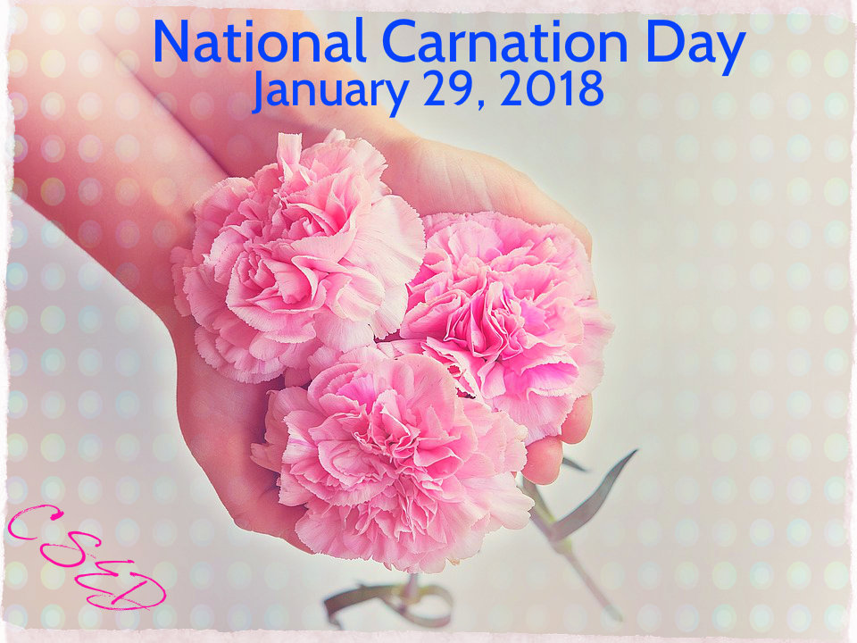 Crazy Days To Celebrate January 2018