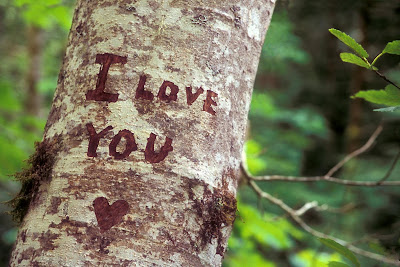 22 imágenes de Amor con mensajes para compartir