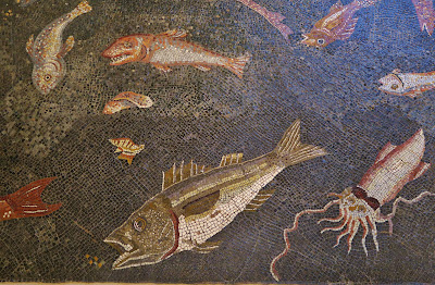 Roman mosiac with squid in sunglasses. Museum of Populonia, Piombino.