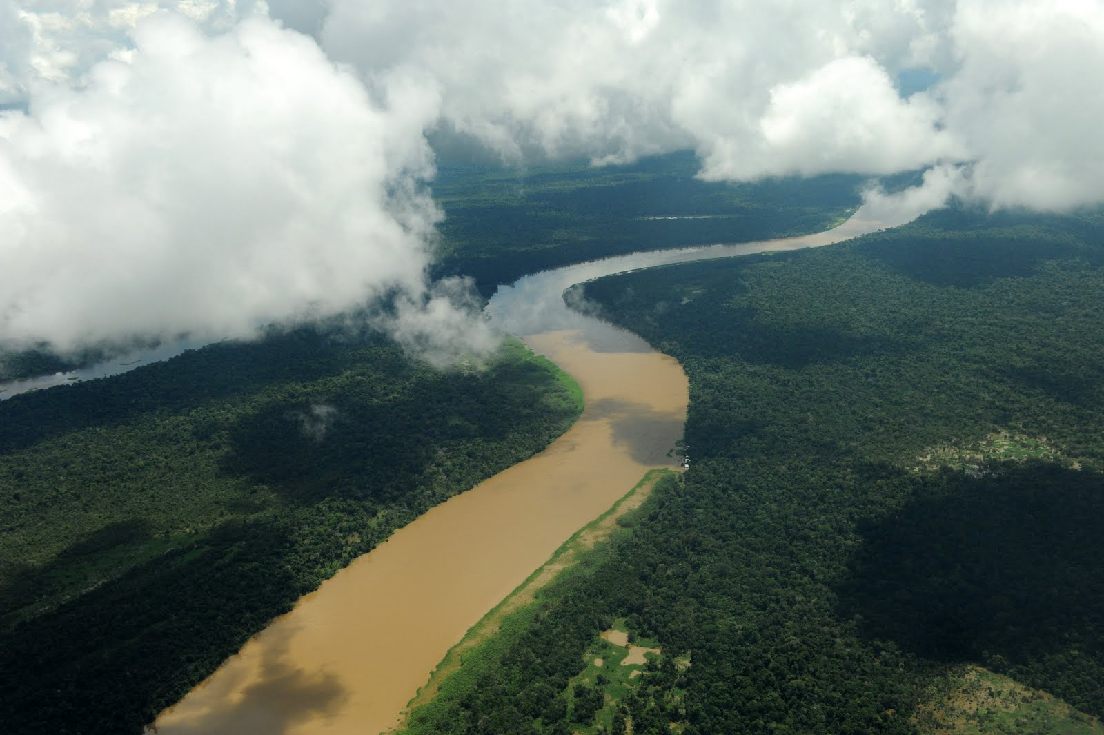 ALFREDO FERNANDES CONHEÇA NOSSOS RIOS E FLORESTAS DO AMAZONAS.